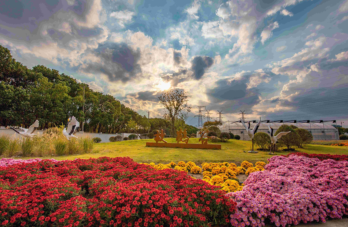 美翻了我的村第78期 | 上海市閔行區(qū)和平村：文明繪就“和平新畫卷”